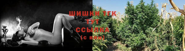 бошки Гусев