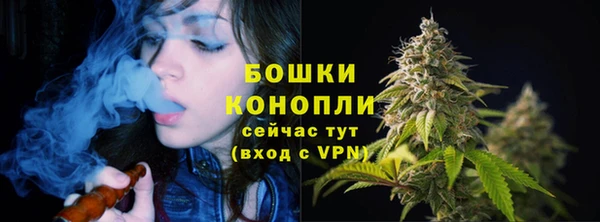 твердый Гусь-Хрустальный
