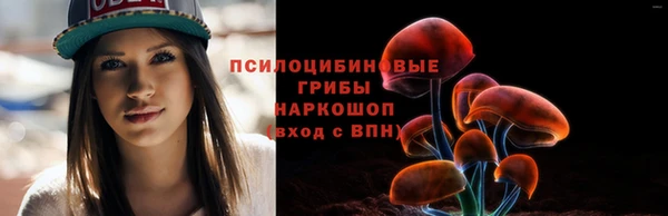 твердый Гусь-Хрустальный