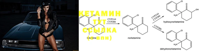 твердый Гусь-Хрустальный