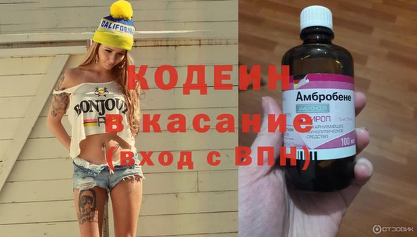 бошки Гусев