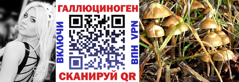 МЕГА маркетплейс  Мценск  Псилоцибиновые грибы мухоморы 